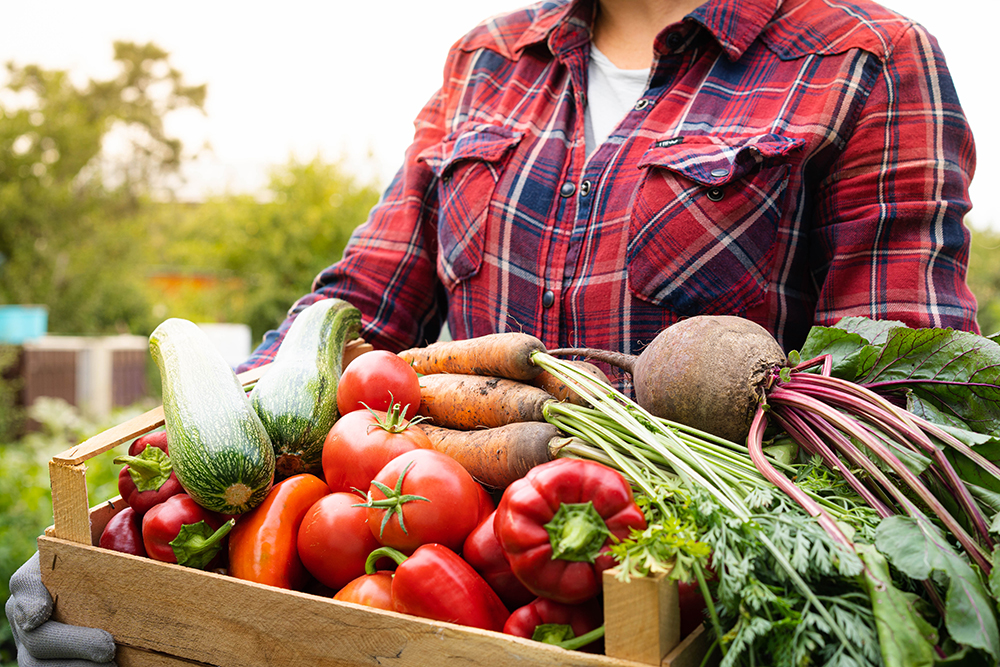 person holding. tray of fruits and vegetables