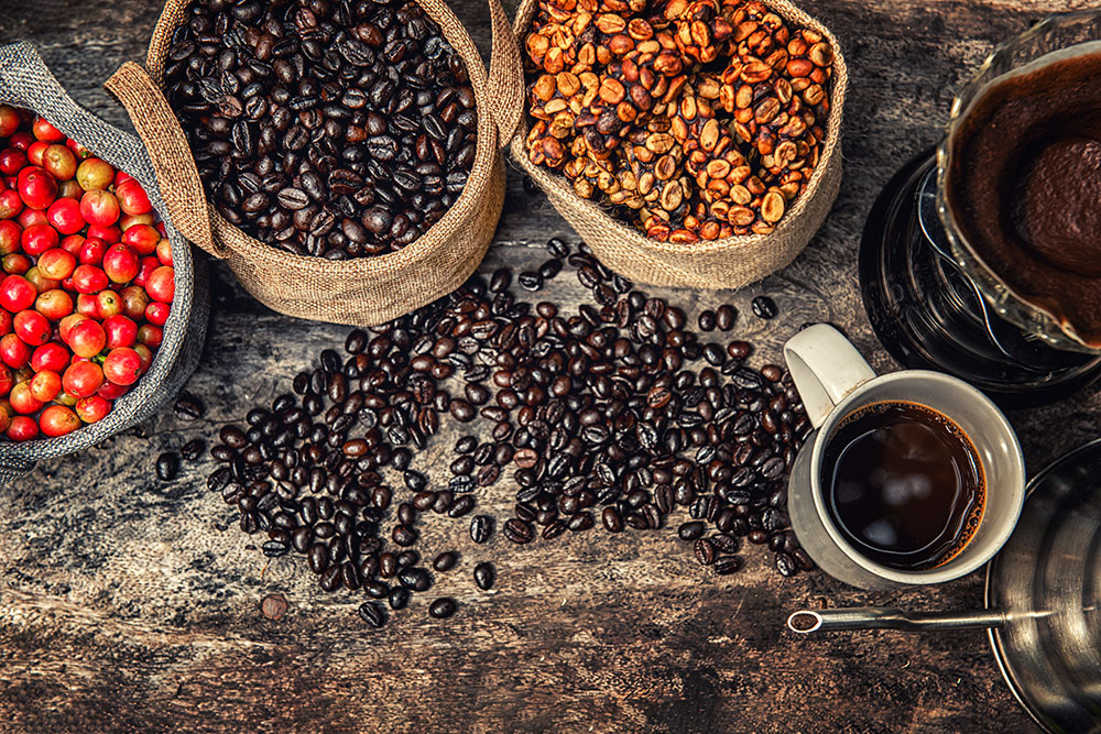 Specialty and premium coffee beans