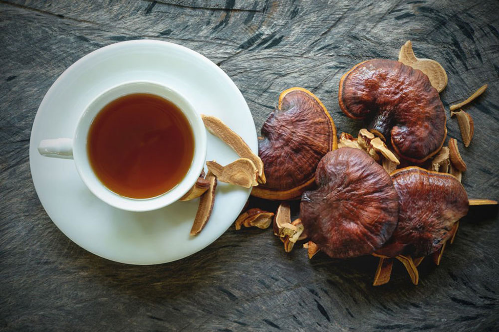 A cup of tea and some functional mushrooms