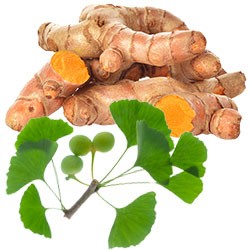 herbal ingredients including turmeric and Ginkgo biloba
